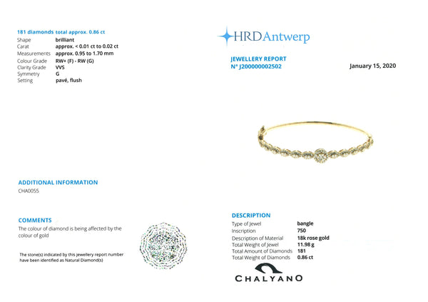 BANGLE