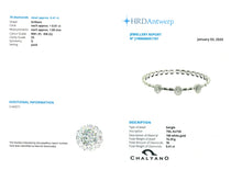 Load image into Gallery viewer, BANGLE
