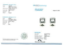 Load image into Gallery viewer, EARRING
