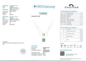 NECKLACE LIGHT